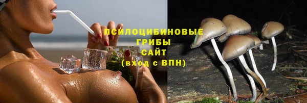 2c-b Осинники