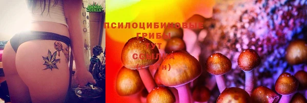 2c-b Осинники