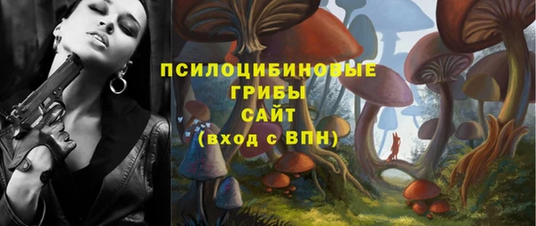 2c-b Осинники