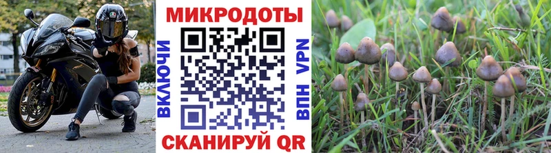 Псилоцибиновые грибы Psilocybe  blacksprut ONION  Бахчисарай 