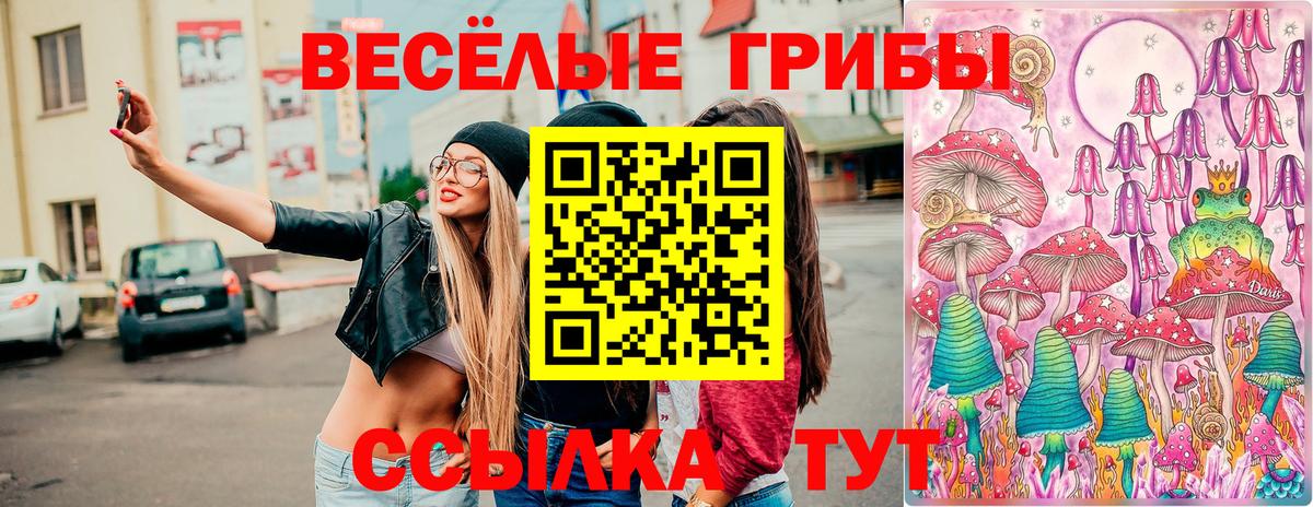 Бахчисарай  где купить   Вход с VPN  Псилоцибиновые грибы мицелий 